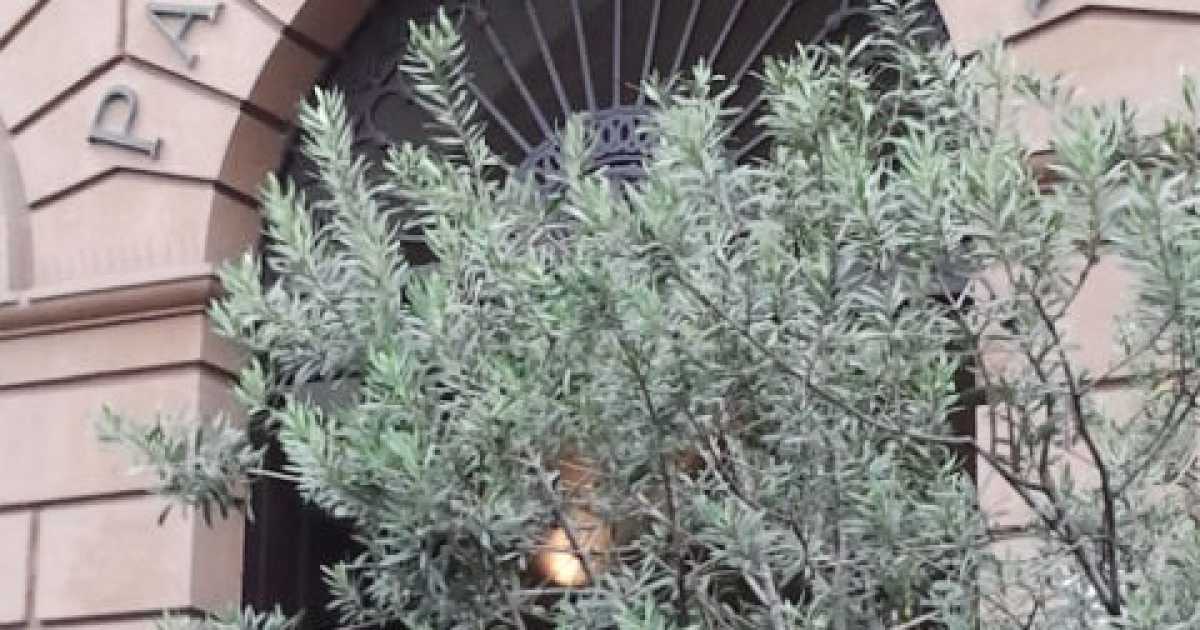 Comune, presentato il Bilancio di previsione 2013: in arrivo tagli e sacrifici